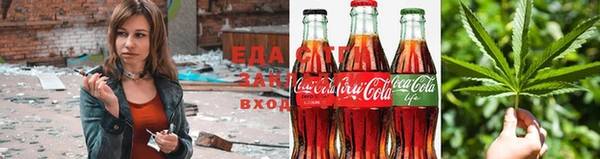 мдпв Магас