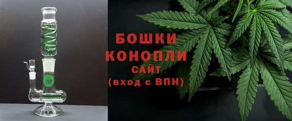 эйфоретик Липки