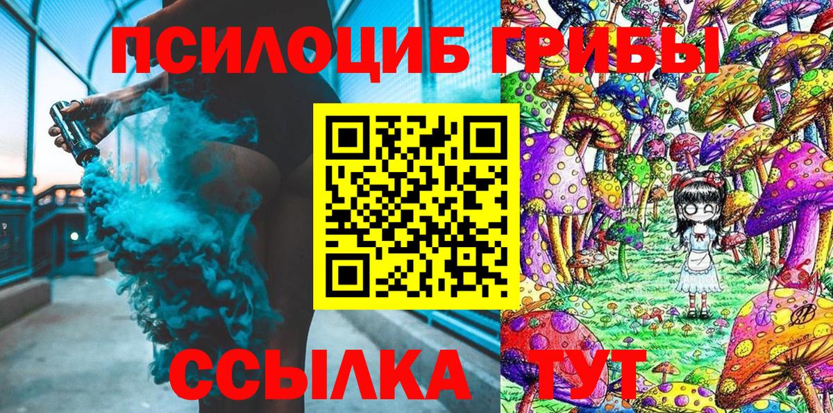 Прокопьевск  Псилоцибиновые грибы Psilocybe  Вход с VPN  Галлюциногенные грибы Psilocybe 