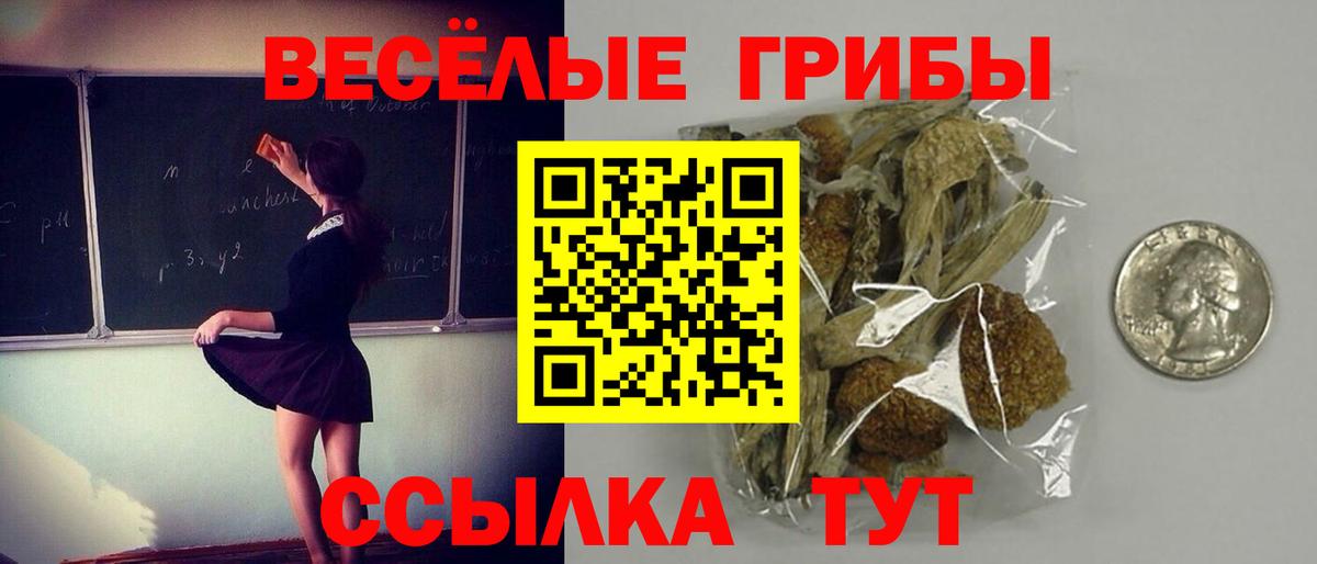 Псилоцибиновые грибы Прокопьевск