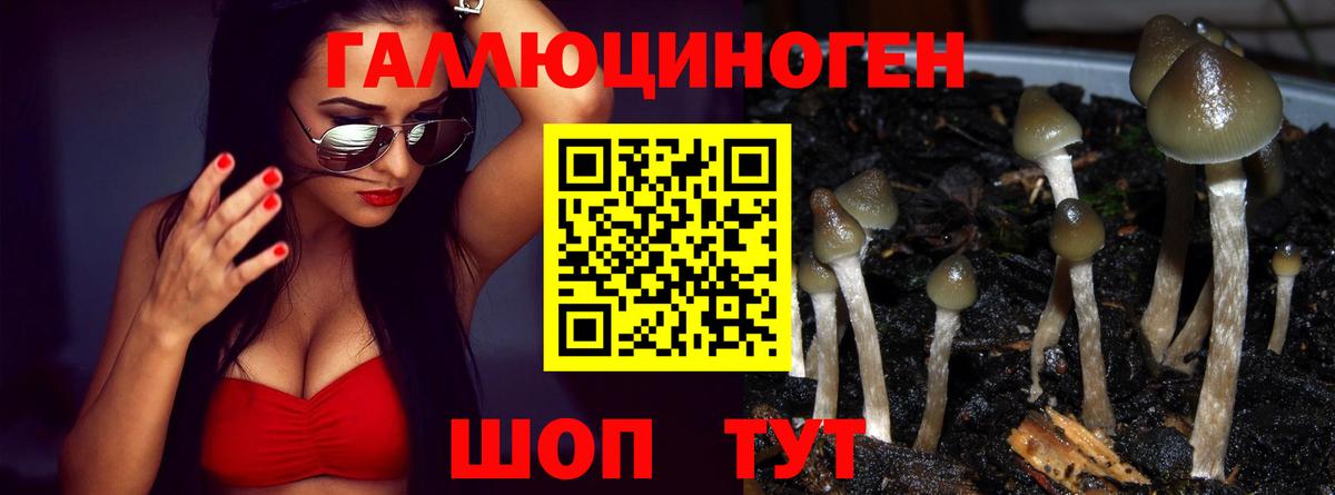 Гашиш  Прокопьевск  Канабис  ЭКСТАЗИ  Лсд 25  Альфа ПВП СК кристаллы  Мефедрон кристаллы  Мефедрон кристаллы 